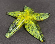 Load image into Gallery viewer, Dappled Sunshine Starfish