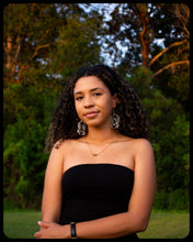 Load image into Gallery viewer, Large Acrylic Spider Earrings