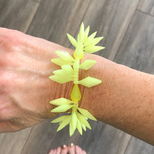 Load image into Gallery viewer, Neon Yellow Spiked Cha Cha Stretch Bracelet