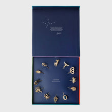 Load image into Gallery viewer, Zodiac cocktail pick gift set