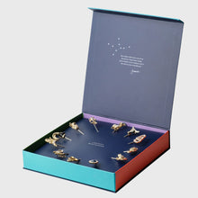 Load image into Gallery viewer, Zodiac cocktail pick gift set