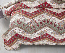 Load image into Gallery viewer, DaDa Bedding Rustic Bohemian Cranberry Sage Chevron Floral Bedspread Set (JHW-924)