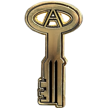 Load image into Gallery viewer, BL15-014 24KT Gold plated Correctional Officer Jail Prison Key pin CO Corrections Thin Gray Line