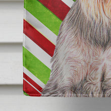 Load image into Gallery viewer, Candy Cane Holiday Christmas Schnauzer Flag Canvas House Size KJ1172CHF