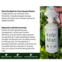 Load image into Gallery viewer, Kelp Mist Foliar Spray