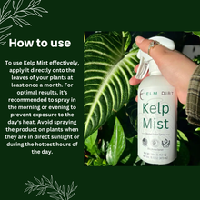 Load image into Gallery viewer, Kelp Mist Foliar Spray