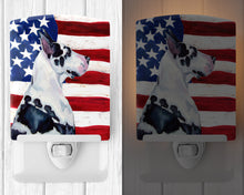 Load image into Gallery viewer, USA American Flag with Great Dane Ceramic Night Light LH9013CNL
