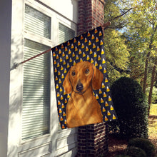 Load image into Gallery viewer, Dachshund Candy Corn Halloween Portrait Flag Canvas House Size