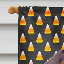 Load image into Gallery viewer, Dachshund Candy Corn Halloween Portrait Flag Canvas House Size