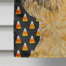 Load image into Gallery viewer, Border Terrier Candy Corn Halloween Portrait Flag Canvas House Size