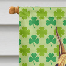 Load image into Gallery viewer, Great Dane St. Patrick's Day Shamrock Portrait Flag Canvas House Size