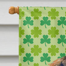 Load image into Gallery viewer, Dachshund St. Patrick's Day Shamrock Portrait Flag Canvas House Size