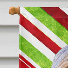 Load image into Gallery viewer, Bearded Collie Candy Cane Holiday Christmas  Flag Canvas House Size