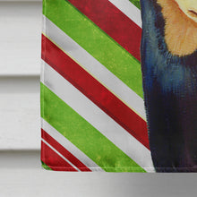 Load image into Gallery viewer, Min Pin Candy Cane Holiday Christmas  Flag Canvas House Size