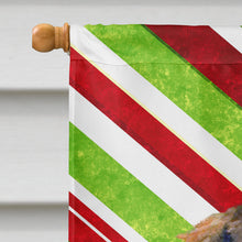 Load image into Gallery viewer, Dachshund Candy Cane Holiday Christmas  Flag Canvas House Size