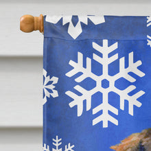 Load image into Gallery viewer, Dachshund Winter Snowflakes Holiday Flag Canvas House Size