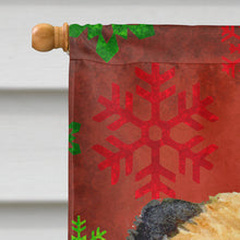 Load image into Gallery viewer, Border Terrier Red  Green Snowflakes Holiday Christmas Flag Canvas House Size