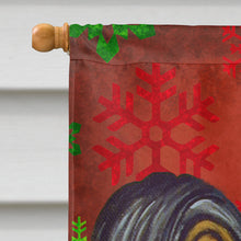 Load image into Gallery viewer, Papillon Red Green Snowflake Holiday Christmas Flag Canvas House Size