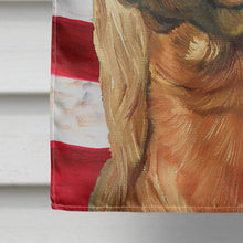 Load image into Gallery viewer, Irish Setter USA Patriotic American Flag Flag Canvas House Size LH9541CHF