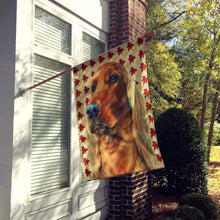 Load image into Gallery viewer, Irish Setter Fall Leaves Flag Canvas House Size LH9555CHF