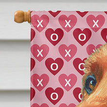 Load image into Gallery viewer, Irish Setter Hearts Love and Valentine's Day Flag Canvas House Size LH9562CHF
