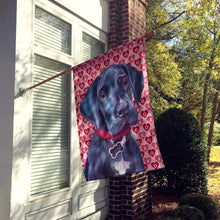 Load image into Gallery viewer, Black Great Dane Puppy Hearts Love and Valentine's Day Flag Canvas House Size LH9565CHF
