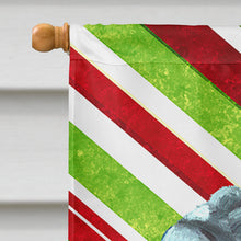 Load image into Gallery viewer, Neapolitan Mastiff Candy Cane Holiday Christmas Flag Canvas House Size LH9589CHF