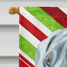 Load image into Gallery viewer, Great Dane Candy Cane Holiday Christmas Flag Canvas House Size LH9591CHF