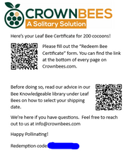 Load image into Gallery viewer, Chalet Bee House &amp; Complete Kit including Bee Certificate