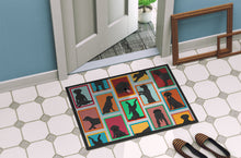Load image into Gallery viewer, Lots of Black Labrador Retriever Doormat - 18x27 Decorative Floor Mat – Indoor/Outdoor Rug with Artistic Flair