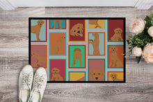 Load image into Gallery viewer, Lots of Red Fox Labrador Retriever Doormat - 24x36 Decorative Floor Mat – Indoor/Outdoor Rug with Artistic Flair