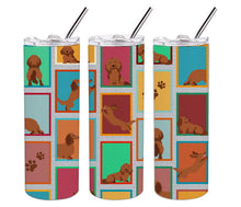 Load image into Gallery viewer, Lots of Longhaired Red Dachshund Stainless Steel 20 oz Skinny Tumbler