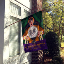 Load image into Gallery viewer, Border Collie Halloween House Flag