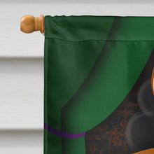 Load image into Gallery viewer, Ukrainian Levkoy Cat Halloween House Flag