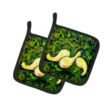 Load image into Gallery viewer, Three Crooks Squash Pot Holders - Set of 2 Decorative Kitchen Helpers | Made in the USA