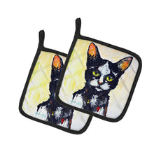 Load image into Gallery viewer, Big Kitty Cat Pot Holders - Set of 2 Decorative Kitchen Helpers | Made in the USA