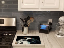 Load image into Gallery viewer, Boston Terrier Spot In The Sun Glass Cutting Boards – Durable, Decorative Kitchen Art