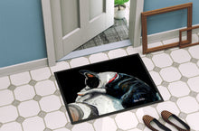 Load image into Gallery viewer, Boston Terrier Spot In The Sun Doormat