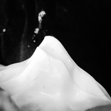 Load image into Gallery viewer, Old Sport Shaving Soap - by Murphy and McNeil