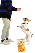 Load image into Gallery viewer, Pumpkin Apple Canine Cookie
