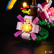 Load image into Gallery viewer, Light Kit for LEGO Exotic Parrot #31136