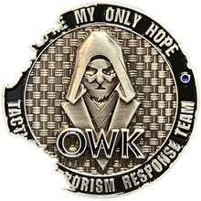 Load image into Gallery viewer, DL13-009 Obi-wan Kenobi You're My Only Hope Death Star II Rogue TACTICAL TERRORISM RESPONSE TEAM 12 TTRT CBP Challenge Coin