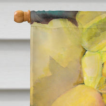 Load image into Gallery viewer, Yellow Roses Flag Canvas House Size PJC1047CHF