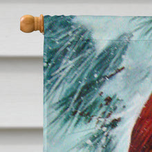 Load image into Gallery viewer, Winter's Glory Redbird 2 Northern Cardinal Flag Canvas House Size PJC1058CHF