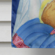 Load image into Gallery viewer, Jesus and Mary Star of Wonder Christmas Flag Canvas House Size PJH3025CHF