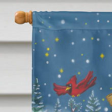 Load image into Gallery viewer, Snowman Snow Shooin Flag Canvas House Size PJH3027CHF