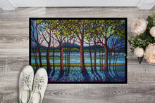 Load image into Gallery viewer, Tanzanite River Doormat - 24x36 Decorative Floor Mat – Indoor/Outdoor Rug with Artistic Flair PPD3022JMAT