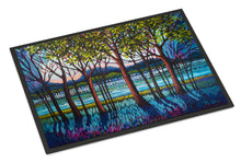 Load image into Gallery viewer, Tanzanite River Doormat - 24x36 Decorative Floor Mat – Indoor/Outdoor Rug with Artistic Flair PPD3022JMAT