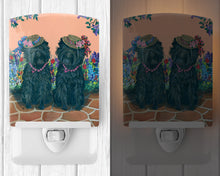 Load image into Gallery viewer, Affenpinscher Sisters Ceramic Night Light PPP3001CNL