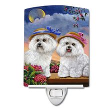 Load image into Gallery viewer, Bichon Frise Soulmates Ceramic Night Light PPP3026CNL